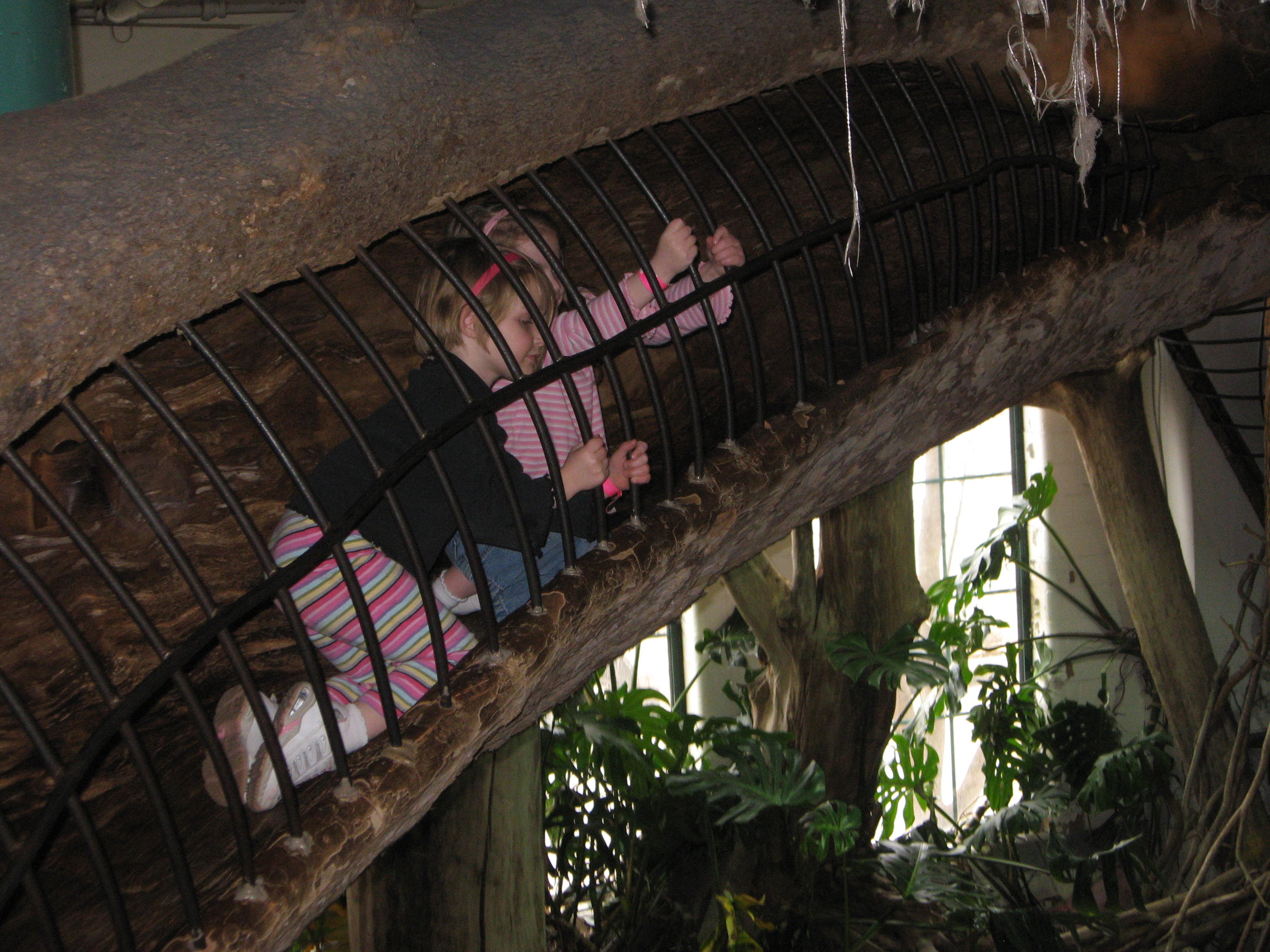 2008_03_13 JnC in tree tunnel at City Museum.jpg